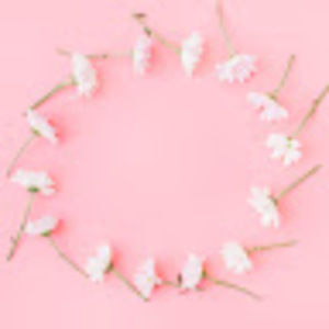 Meet your Posher, Sienna